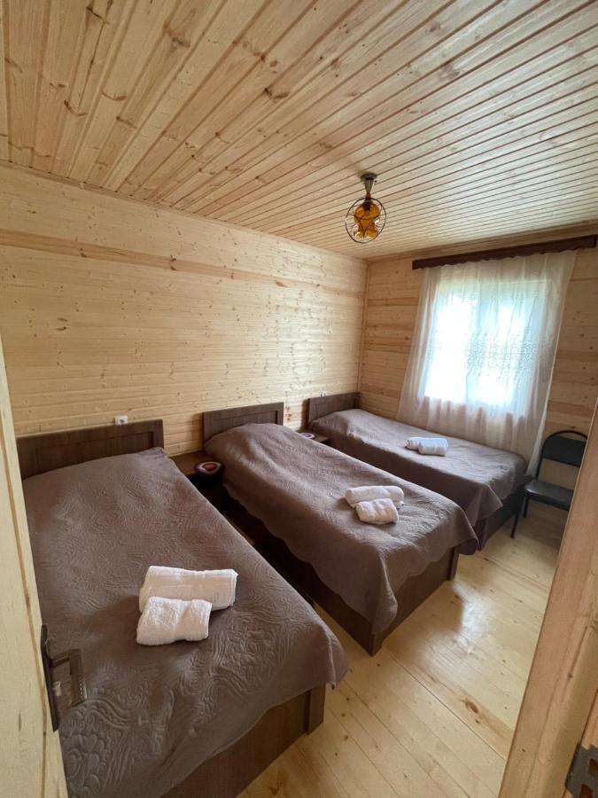 Pensjonat Warm House Stepancminda Zewnętrze zdjęcie